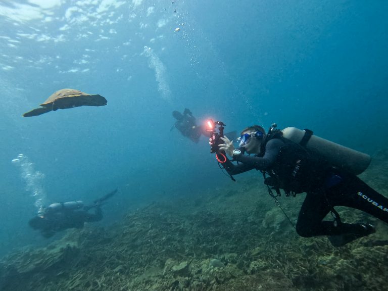 Rick Parker (Underwater Parker) capturing a turtle with his OM System TG-7 while diving at Tioman Island.