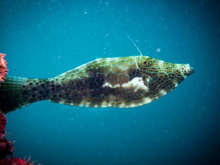 515159792_10162541962506281_1918863125269043902_n