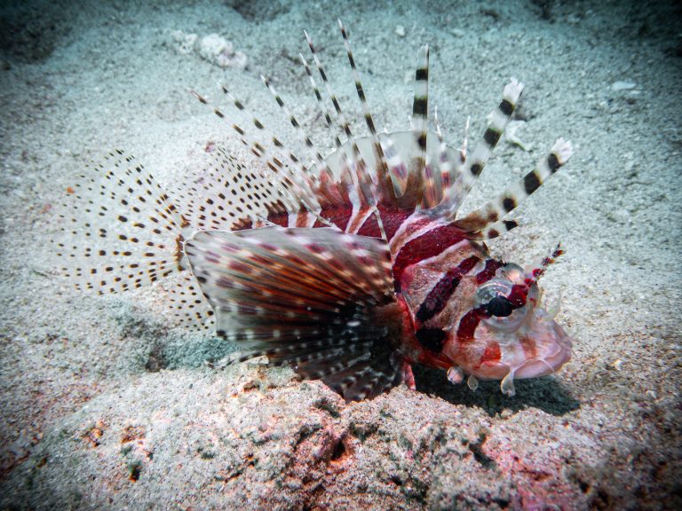 515262346_10162532251391281_8569099627533212_n