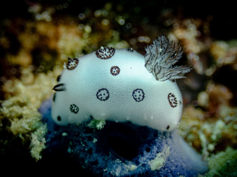 515293542_10162532249856281_2595244485589885444_n