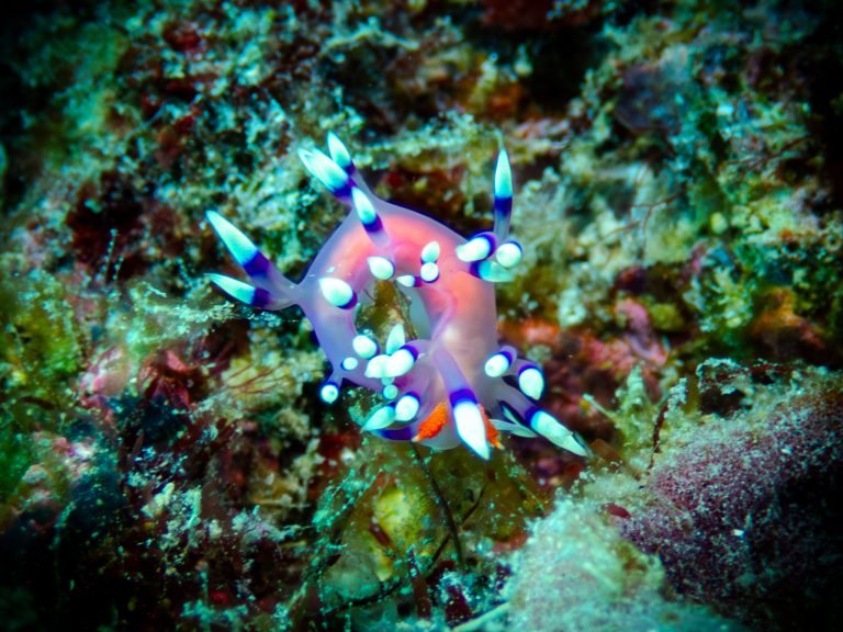 515725946_10162532254796281_6976102926148603686_n