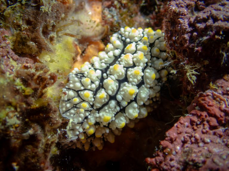 515748815_10162532250366281_6065184461675394814_n