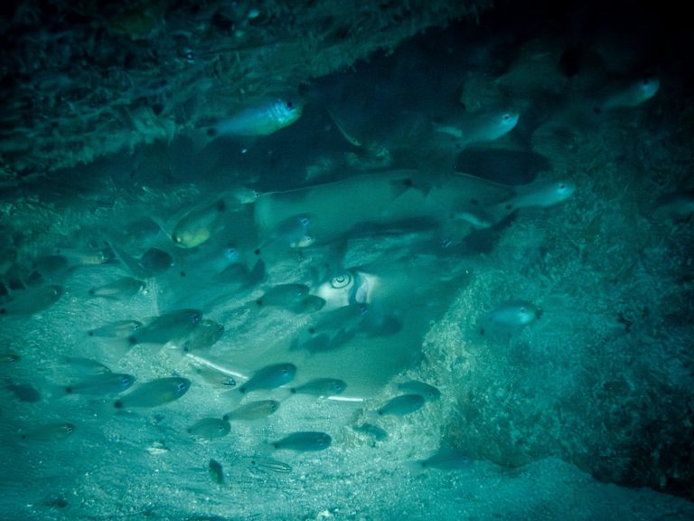 515923717_10162532259076281_77272045538315049_n