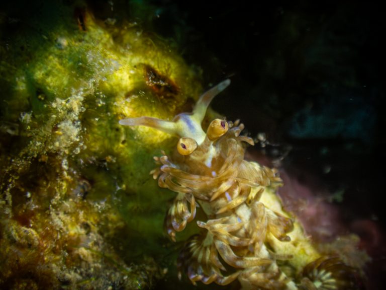 515925609_10162532250056281_8142359387244723908_n