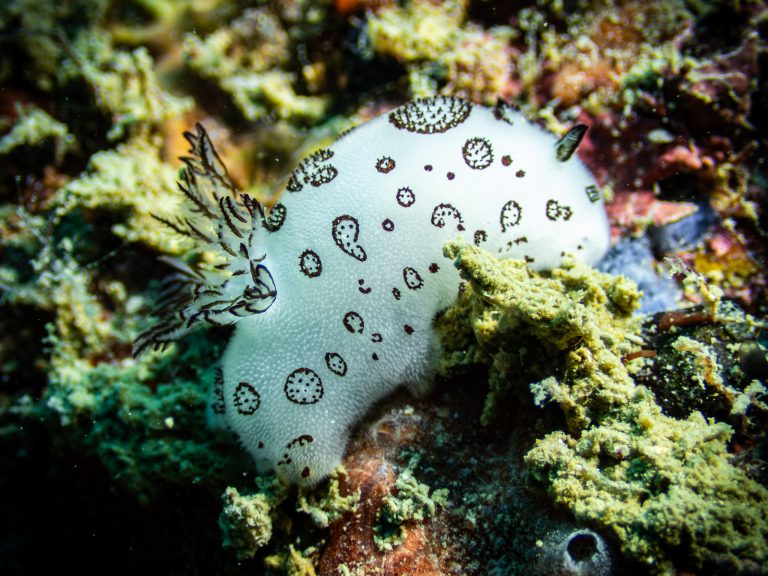 515979724_10162532250766281_4431700135407492420_n