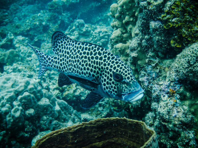 516052292_10162541966021281_1188569239045753103_n