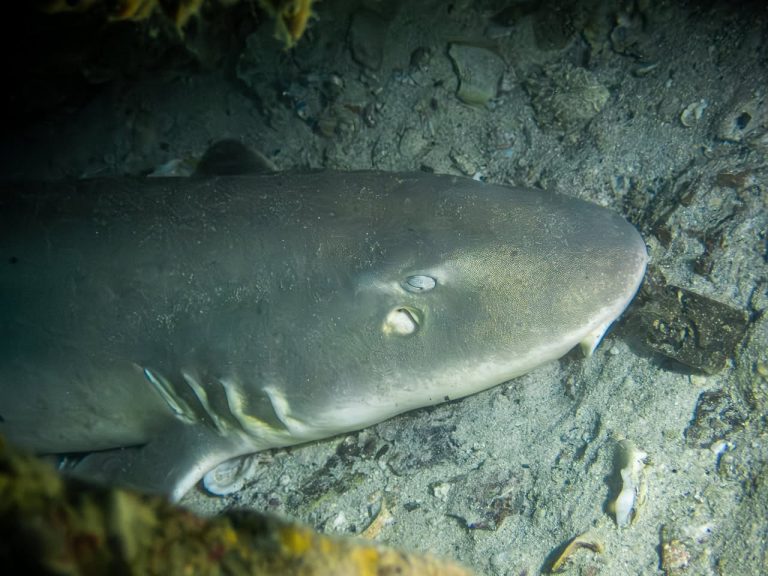 516087062_10162541964191281_1286646902791597809_n