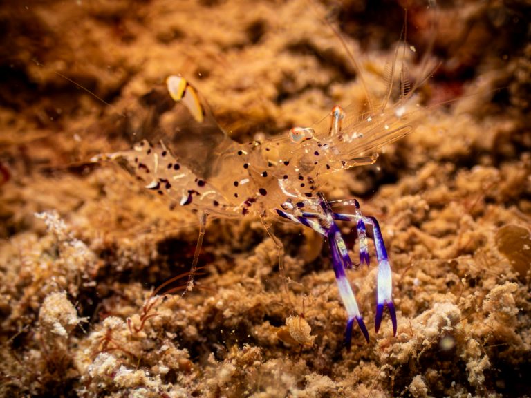 516087149_10162532251016281_4478135465633871885_n