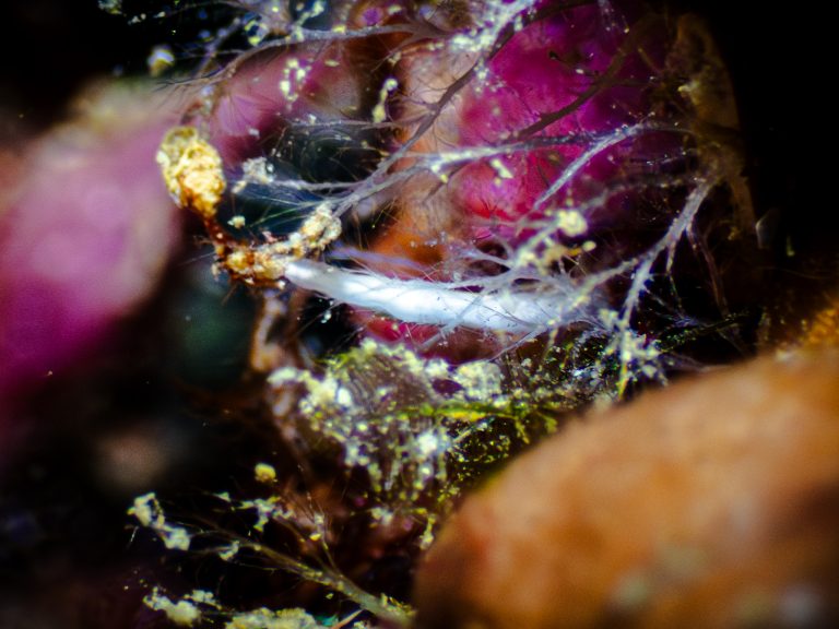 516198903_10162541965346281_4418967000670430886_n