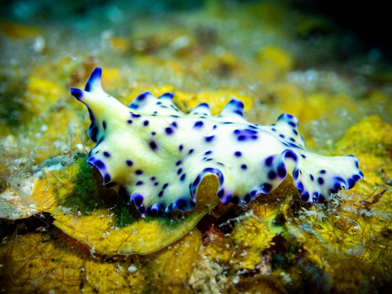 516233827_10162532257346281_6455103505282629565_n