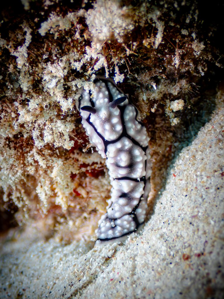 516240868_10162541964271281_1677118333230156322_n