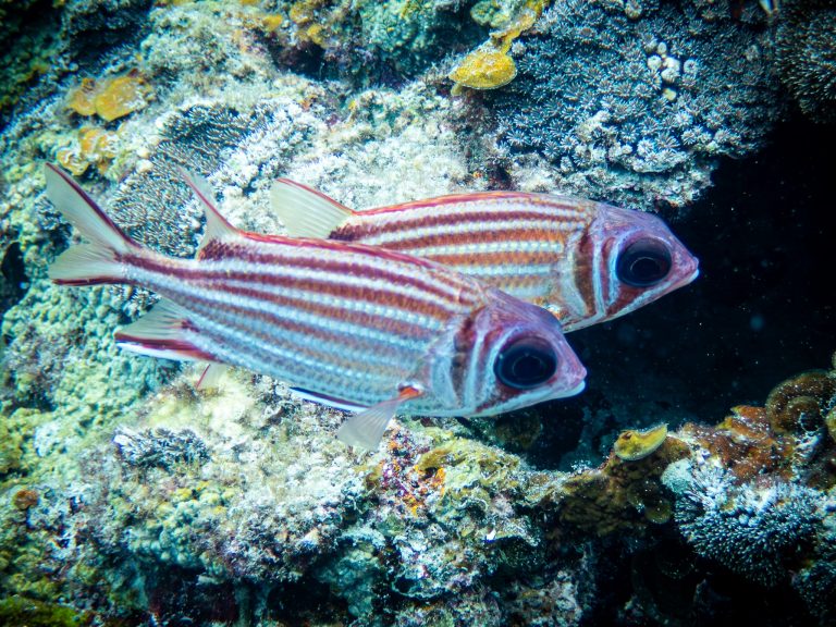 516319559_10162541965786281_5460775780642969123_n