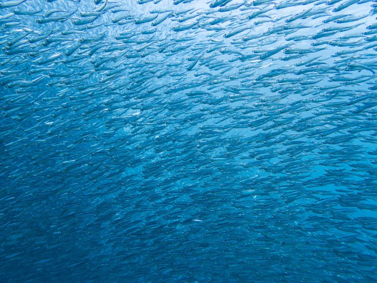 516348008_10162532252521281_6874941269009597484_n