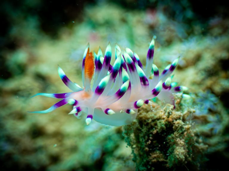 516442977_10162532250306281_7782254358714285209_n