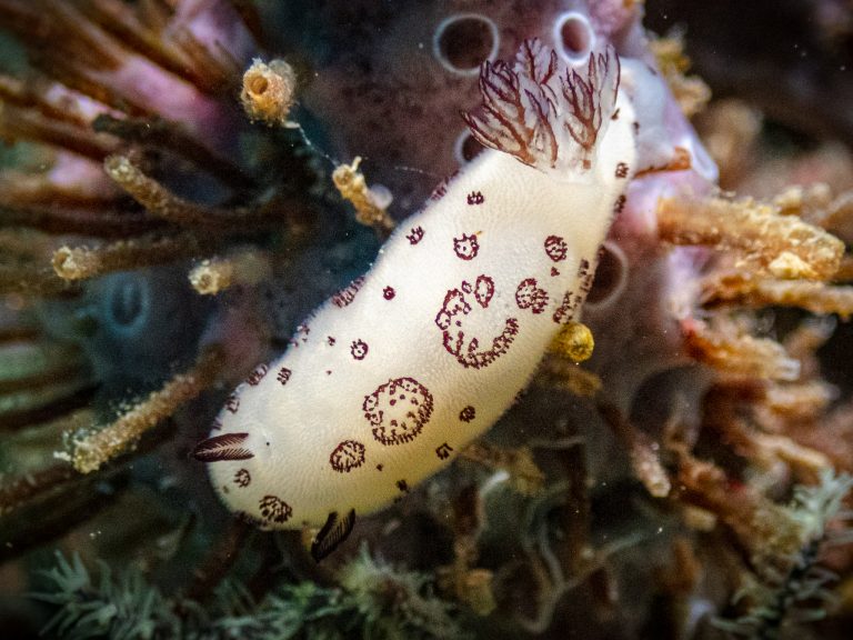 516489830_10162532253521281_1042693056422531681_n