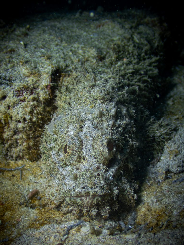 516491854_10162541963076281_153850062713125211_n