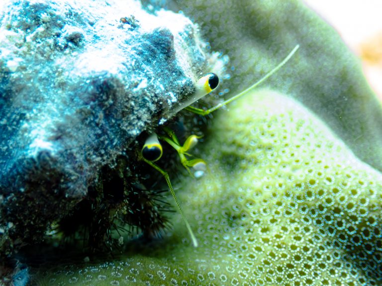 516550731_10162541963021281_5356212870822707492_n