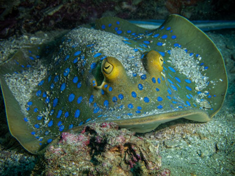 516556545_10162541962956281_8365860499783149300_n