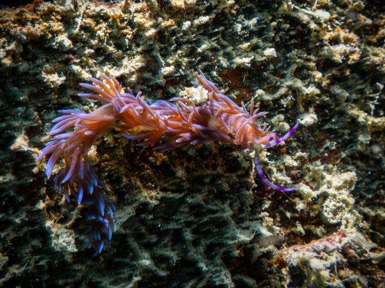 516607089_10162541961626281_1151518122755202255_n