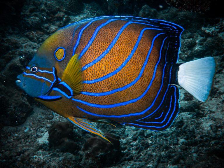 516723337_10162541964926281_7925043306030534580_n