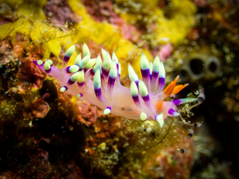 516800677_10162532250236281_1599361061377596563_n