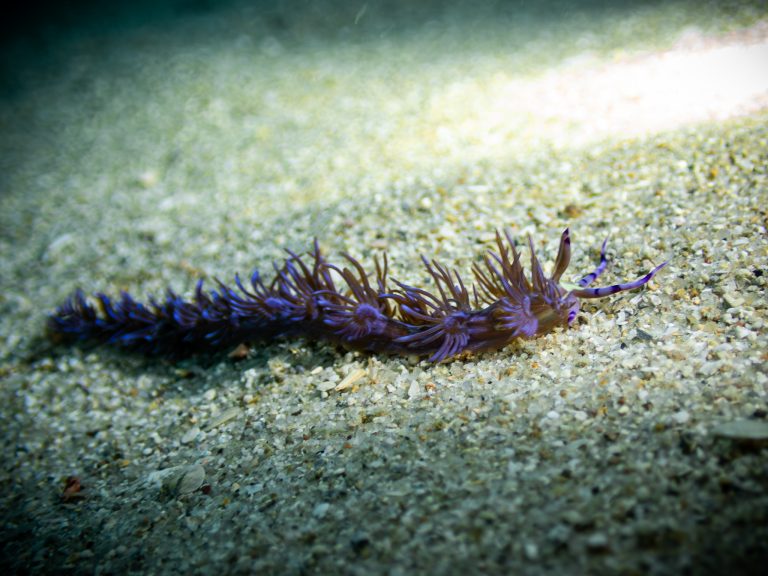 516808598_10162541961156281_407641143428590759_n