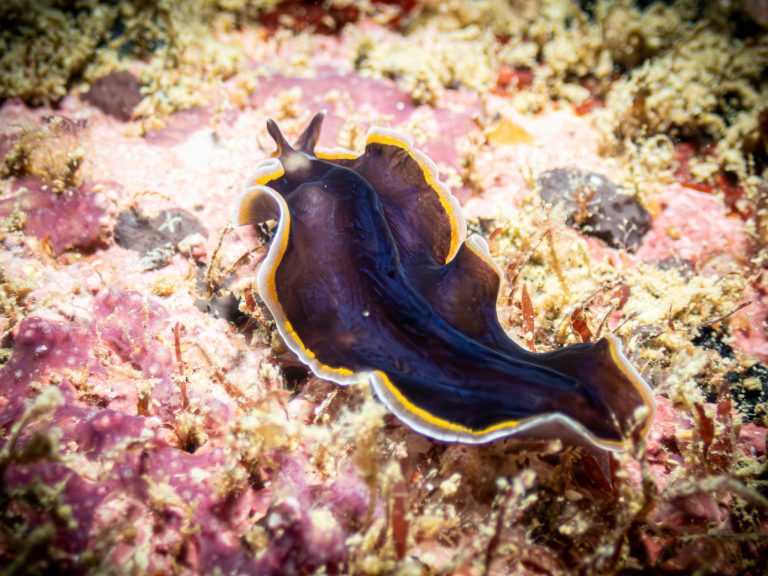 516835414_10162532252976281_859335589268641280_n