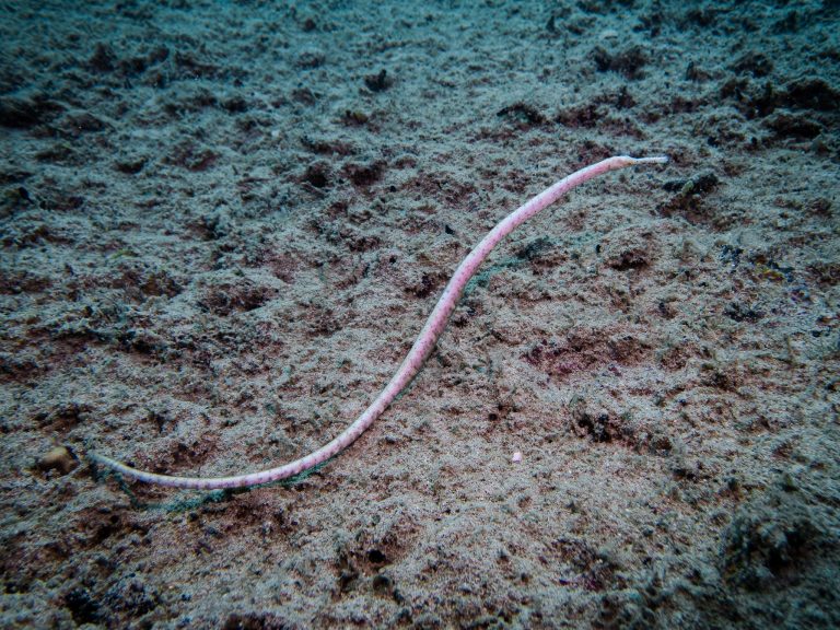 516919361_10162532258351281_1811339554604934268_n