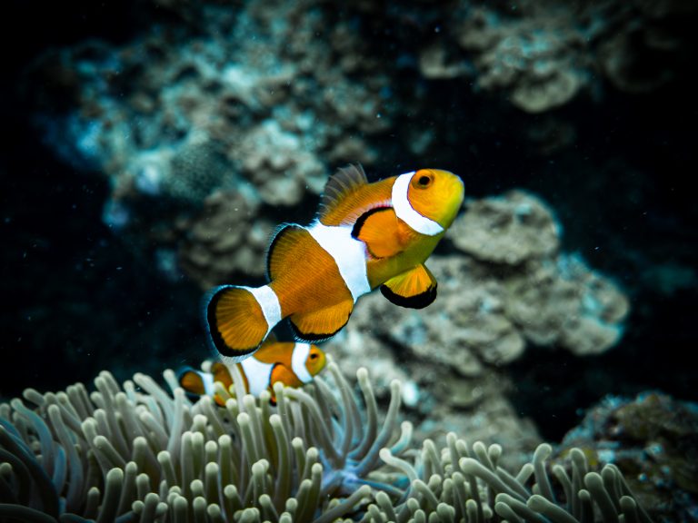 516936542_10162541960911281_2600700480704050263_n