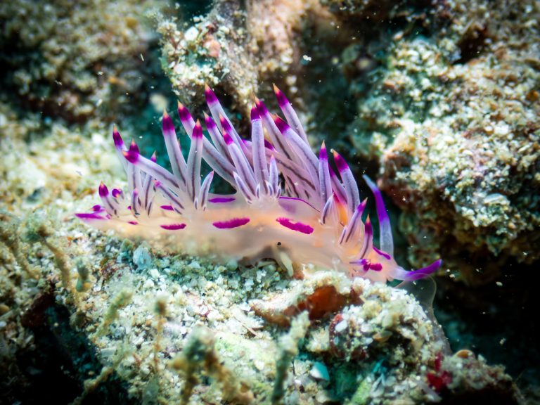 516936544_10162532250906281_8929310418277590083_n