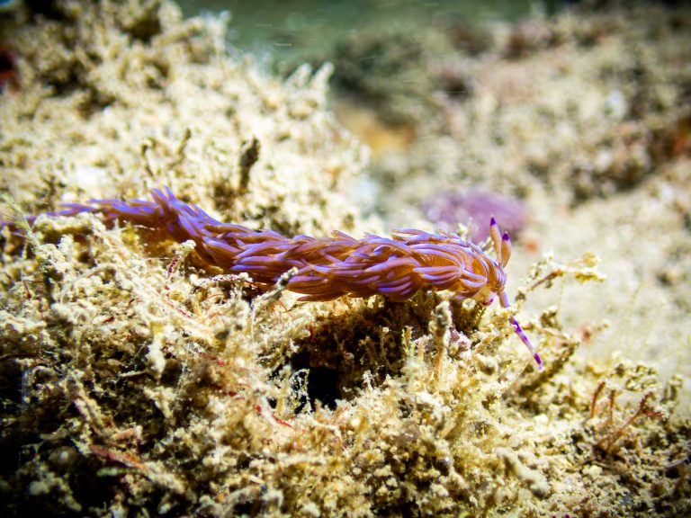 517030522_10162541961471281_4573632819133685350_n