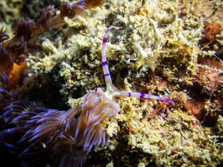 517155238_10162541962361281_2285883489455341211_n