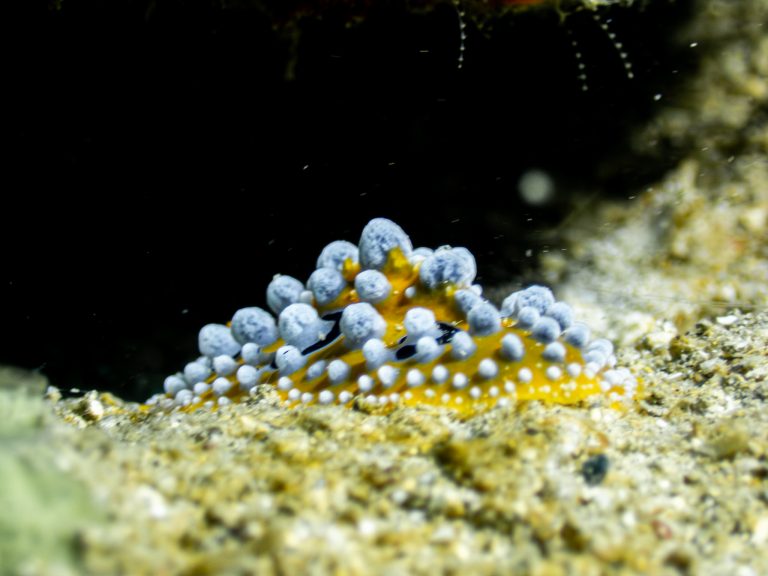 517386543_10162541960261281_6411872329935152927_n