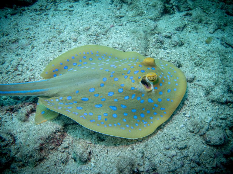 517398871_10162532253981281_6338968660084804186_n