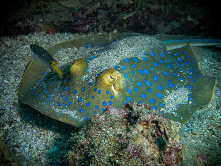 517506960_10162541962606281_8641607928599234592_n