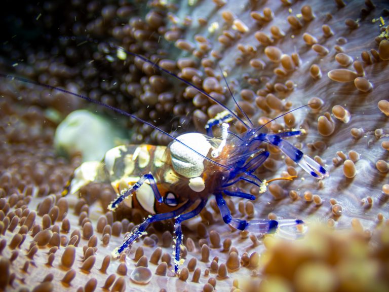 517755971_10162541961286281_7749015008203129227_n