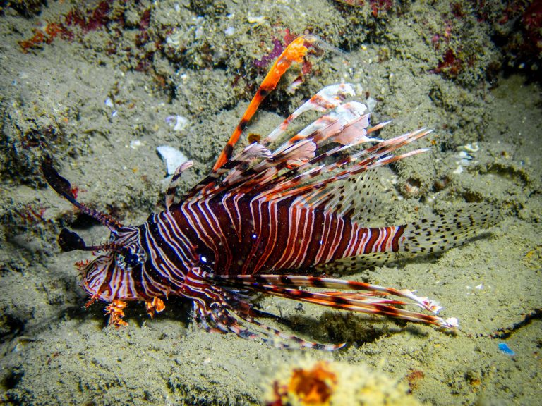 537550527_10162800220786281_3553121138544661942_n