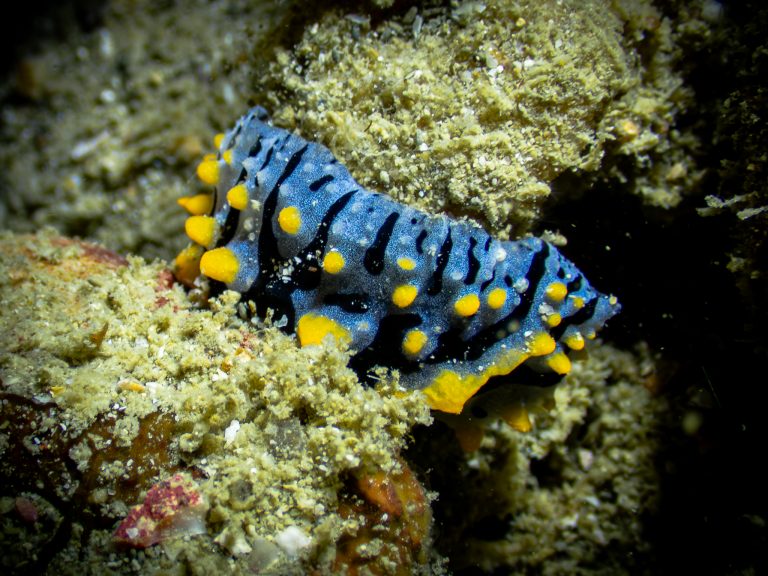 537816357_10162800220841281_9162530526533417028_n