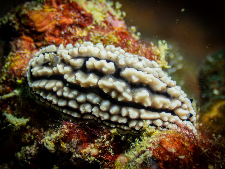 538272797_10162800221141281_1390224320178197090_n