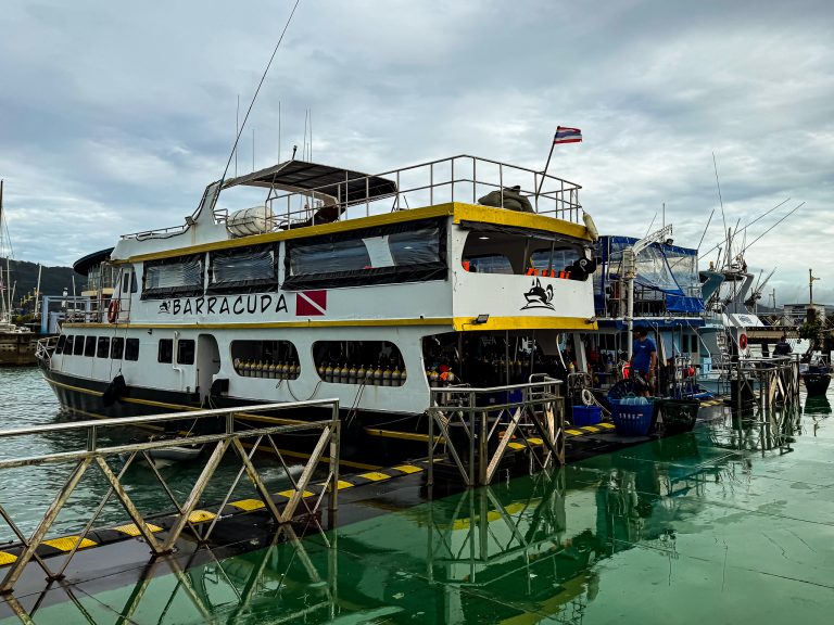 538457637_10162800220156281_305859156845947029_n