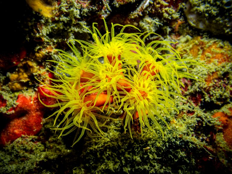 538457637_10162800220816281_6428629191110342260_n