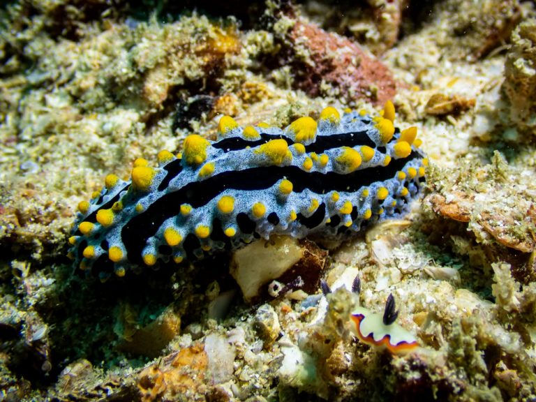 538539018_10162800220586281_3740580862886909771_n