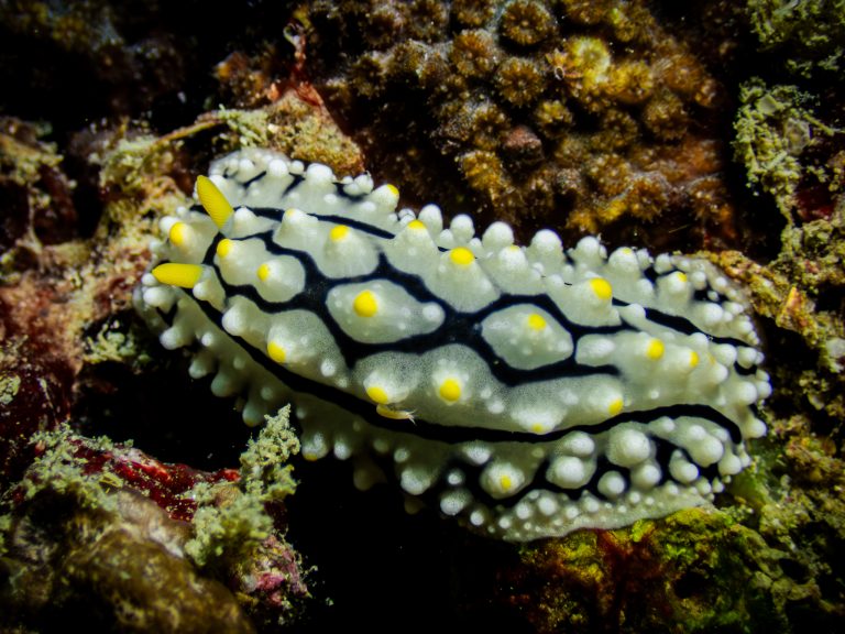 538633796_10162800221356281_6416357786477636120_n