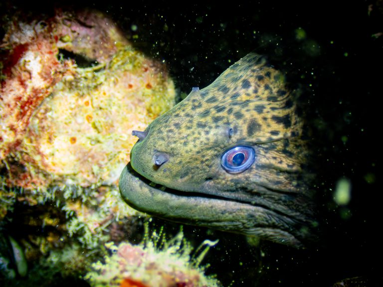 538638383_10162800221346281_189873998023546696_n