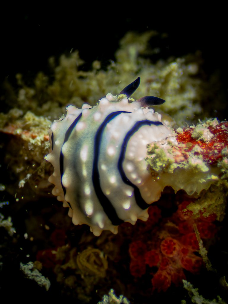 538712767_10162800221051281_7180972956661653008_n