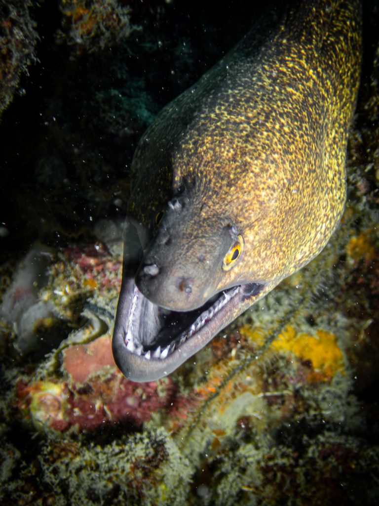 539417430_10162800221081281_1664458997446799746_n