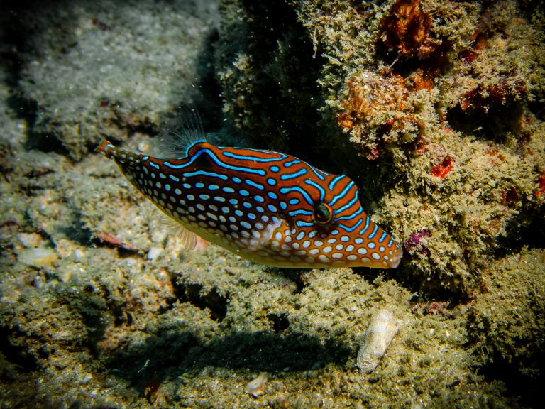 539618812_10162800220651281_2833371077647724999_n