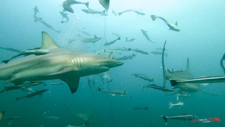 345468234_959511348382310_5089442792561684692_n