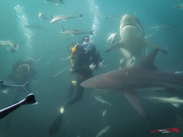 431173106_10160773583561281_1901138507073582513_n