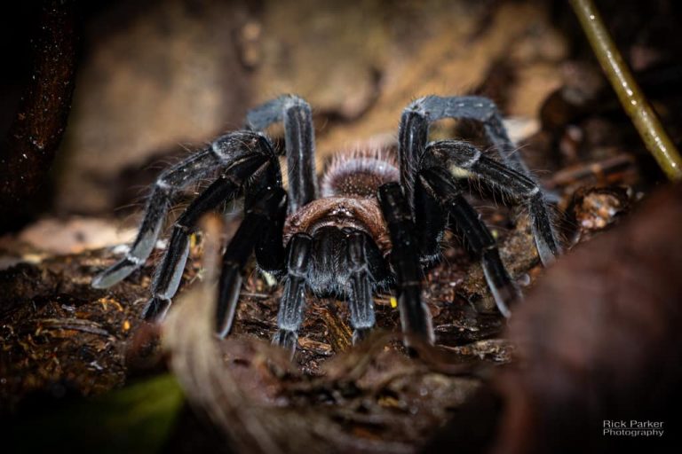 468331304_10161751993006281_2077225887424877755_n